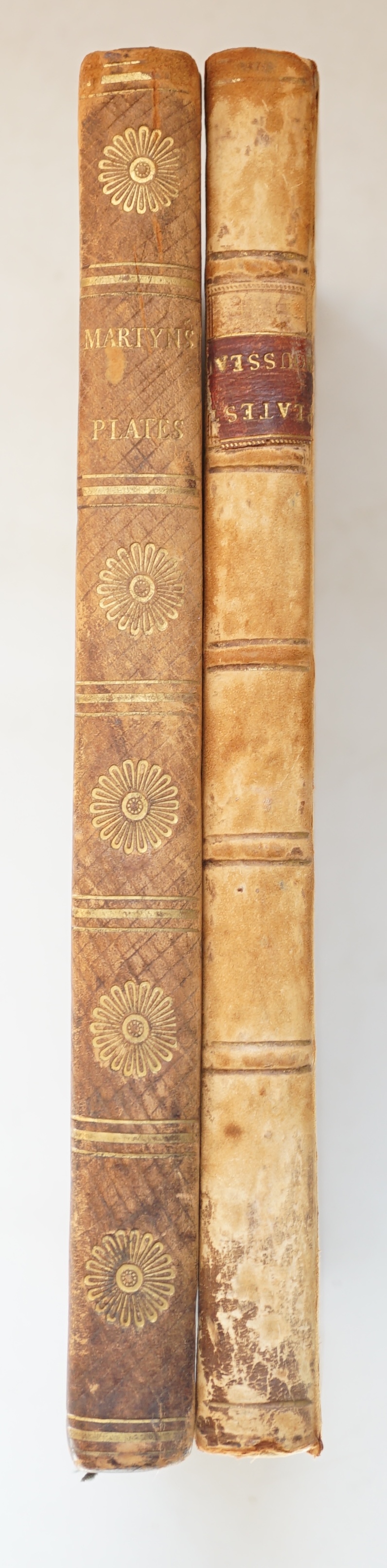 Martyn, Thomas - Thirty-Eight Plates, with Explanations: intended to illustrate Linnaeus's System of Vegetables, 1st edition, 8vo, tree calf, 38 hand-coloured engraved plates by F.R. Nodder, fore-edge margins to leaves u